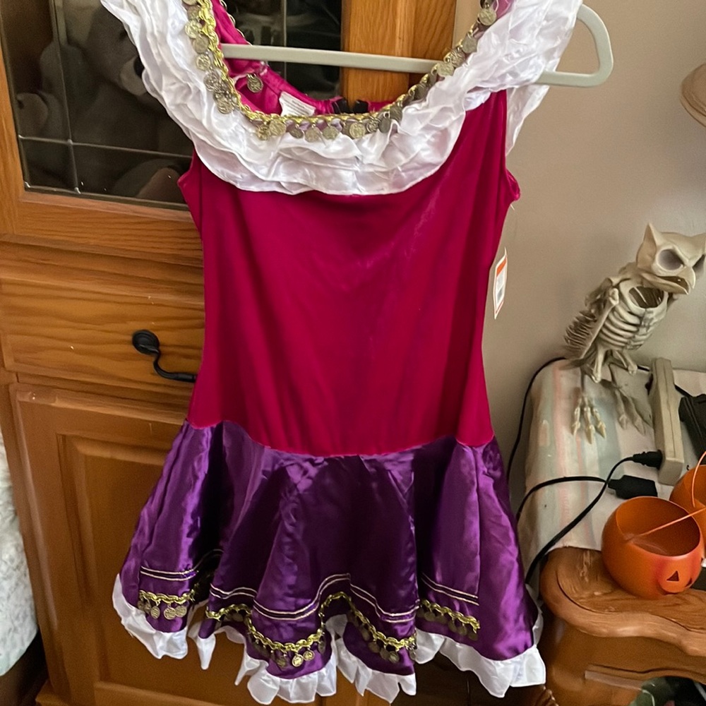 Fortune Teller Costume